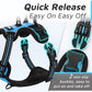 Eagloo Small Dog Harness No Pull, Service Vest with Reflective Strips and Control Handle, Adjustable and Comfortable for Walking, No Choke Pet Harness with 2 Metal Rings, Sky Blue, XS