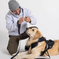2025 New Edition, Fei & Eve MagEase Dog Harness - 3-Second Magnetic Buckles | 3-Point No-Pull Control | Heavy-Duty 900D Nylon | Dual Safety Handles | Breathable Mesh | Adjustable Fit | Medium,Black