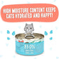 Weruva B.F.F. Play - Best Feline Friend Paté Lovers, Aw Yeah!, Salmon & Tuna Tuck Me in with Salmon & Tuna, 2.8oz Can (Pack of 12)