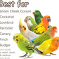 5-Pack Natural Hanging Basket Bird Toys – Foraging & Chewing Toys for Parakeets, Cockatiels, Conures & Small Birds – No Plastic, All-Natural Materials