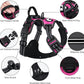 Taglory Light Up Dog Harness, Rechargeable No Pull Dog Vest with 3 Lightning Modes, Reflective Dog Harness with 2 Leash Clips & 4 Adjustable Slide Strips for Small Dogs, Hotpink-Hotpink, S