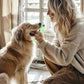 YABIFE 7-Speed Pet Nail Grinder with Light – Heavy Duty, Whisper Quiet Nail Trimmer for Dogs, Cats, Birds & Small Animals – Single-Handed Operation