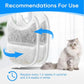 8+8 Set Cat Water Fountain Filters & Pump Sponges for 135 fl oz/4L Wilreless Cat Water Fountain, Replacement Filters & Sponges Pet Drinking Fountain Battery Operated for YPD-C004S,YPD-C004P