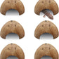 PINVNBY 6 PCS Natural Coconut Reptile Hideouts Lizard, Coco Hut Hermit Crab Hut Aquarium Fish Hide Cave for Small Reptile Crested Gecko Leopard Gecko Spider Snail Climber Toys
