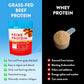 Equip Foods Prime Protein Powder | Clean, Grass Fed Beef Protein Isolate | Carnivore Protein Powder | Paleo, Keto Friendly | Gluten, Dairy Free | 30 Servings, Salted Caramel