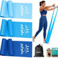WALITO Resistance Bands for Working Out, Exercise Bands for Women and Men, Workout Bands for Physical Therapy, Stretch, Recovery, Pilates, Rehab, Strength Training and Home Gym