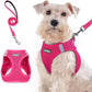 rabbitgoo Dog Harness Medium Sized and Leash Set, Step in Soft Light Puppy Vest, Breathable Mesh Pet Harness, Reflective for Safe Easy Walking, Rosa Red XXL