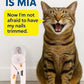 Cat Nail Clipper & Small Dog Nail Clippers with LED Light - Illuminates Nails & Bloodline for Safe, Easy Trimming - Extra Sharp, Avoid Over-Cutting - Essential Cat Supplies, White
