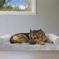 Furhaven Orthopedic Dog Bed for Large Dogs w/ Removable Bolsters & Washable Cover, For Dogs Up to 95 lbs - Faux Fur & Velvet Sofa - Smoke Gray, Jumbo/XL