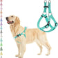 PUPTECK No Pull Dog Harness Soft Adjustable Basic Nylon Step in Puppy Vest Outdoor Walking with ID Tag