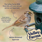 Valley Farms Wild Finch Mix (15 LB) Wild Bird Food for Outside Feeders, Wild Bird Seed with Millet and Chopped Sunflower Hearts for Birds, Finch Seed for Finch Feeders, Sunflower Kernels