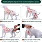 Kuoser Dog Onesie for Surgery Female, Surgical Onesie for Dogs, Female & Male Post-Op Wear, Recovery Suit for Dogs After Surgery Breathable Pet Surgery Suit, Pink XL