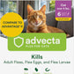 Plus Flea Prevention for Cats, Cat and Kitten Treatment & Control, Small and Large, Fast Acting Waterproof Topical Drops, 6 Month Supply