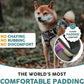 Embark Adventure Dog Harness, Reflective Trim No Pull Dog Harnesses for Small Sized Dogs - Military Grade Nylon, Front Clip with Gel Lined Handle. Soft & Padded Puppy