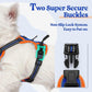 rabbitgoo Dog Harness No Pull with 2 Leash Clips, Adjustable Soft Padded, Reflective Oxford No Choke Pet Vest with Easy Control Handle for Puppy, Blue & Orange, XS
