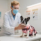 Kuoser Recovery Suit for Dogs Cats After Surgery, Professional Pet Recovery Shirt Dog Abdominal Wounds Bandages, Substitute E-Collar & Cone,Prevent Licking Dog Onesies Pet Surgery Recovery Suit