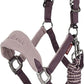 LeMieux Vogue Fleece Headcollar - Halter & Leadrope - Extra Padding, Adjustable at Curb and Poll Strap