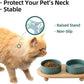 Ceramic Elevated Cat Food and Water Bowl, Kitty Bowl, Raised Cat Dish, Pet Feeder (5.1 in, 2 x Dark Green + Stand)