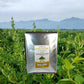 Greenhilltea traditional health herbs, Honey suckle dried herbal tea honeysuckle 16 OZ