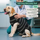 Kuoser Dog Surgery Recovery Suit for Female Male Dogs, Stripes Spay Neuter Anti-Licking Dog Onesie, Surgical Suit Snugly Pet Post Surgery Vest Bodysuit for Abdominal Wounds Skin Disease, Black XS