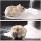 DR.DUDU Hamster Bath Sand, 6.6lb Dust Free Desert Sand or Potty Litter Sand for Hamster Chinchillas Gerbil Syrian Mice Small Animals (White)