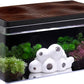 Harmony Aquatic Tank by Clairnara - Harmony Legend - iF Design Award Winning 10 Gallon All-in-One Aquarium