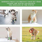 Vet Wrap Self Adhering Bandage Wrap Cohesive Bandage Multi-Function Wrap Tape for Dogs Cats Horses Birds Animals Non-Woven Strong Sports Tape for Wrist Healing Ankle Sprain & Swelling 6 Rolls
