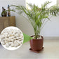 Mr. Fireglass 10lb White River Rocks, 3/8 inch Natural Decorative Polished Pebbles Aquarium Gravel Stones for Landscaping, Indoor Plants, Vase, Succulent, Fish Tank
