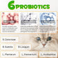 Cat Constipation Relief, Liquid Cat Laxative 60 ml, Cat Stool Softener Pet Herbal Supplements, Promotes Digestive Health, Roast Chicken Flavour, 2 fl oz