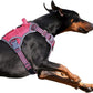 BUMBIN Tactical Dog Harness for Large Dogs No Pull, Famous TIK Tok No Pull Puppy Harness, Fit Smart Reflective Pet Walking Harness for Training, Adjustable Dog Vest Harness with Handle Pink L