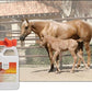 UltraCruz® Veterinary Liniment Wash for Horses, 32 oz with Travel Sprayer