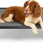 Sytopia 42'' Outdoor Elevated Dog Bed for Large Dogs, Chew-Proof Pet Camping Raised Cot with Breathable Mesh - Durable Frame, Cooling Hammock Bed, Non-Slip Feet, Waterproof, Easy Clean