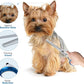 Laazar Pro Shears Thinning Pet Grooming Shear - 6.5 42 Teeth Scissors for dogs cats and pets