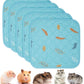 Sunheir Washable Pee Pads for Small Pet 5-Pack, Reusable Pet Training Pads Absorbent & Leak-Free, Waterproof Pee Pads for Dog Cat Rabbit Guinea Pig Hamster, Whelping Pad (Leaves - Sky Blue, 12x12)
