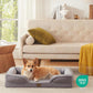Bedfolks Orthopedic Dog Bed, Waterproof Dog Sofa Bed for Large Dogs, Egg Foam Pet Couch Bed with Removable Washable Cover and Nonslip Bottom, Light Grey