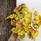Reptile Plants for Terrarium, Amphibian Habitat Decor Artificial Hanging Plants with Suction Cup - Fake Heuchera Micrantha Yellow