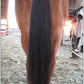 Horse Tail Extensions with Braided Horsehair Loop, Blunt Cut Bottom, 34-36 inches Long and 1 lb Weight (Natural Black)