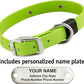 Biothane Custom Dog Collar – Waterproof, Stink-Proof Personalized Collar with Name & Phone Number – Durable, Many Sizes and Colors – Assembled in USA (Green Apple)