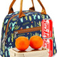 FlowFly Insulated Lunch Cooler Bag - Tote Bag Organizer for Women/Men, Cactus