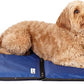 Dog Cooling Pad Dog Cooling Products Hydro Cooling Mat (23"x18") (2 Pack)