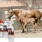 UltraCruz Equine Foaming Horse Shampoo with Travel Applicator, Conditioner and Show Polish Spray Bundle, 32 oz Each