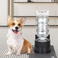 RIZZARI Large Water Dispenser for Dogs: 8L Automatic Stainless Steel Black Gravity Raised Pet Feeder for Pet Dogs Indoor/Outdoor