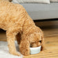 Waggo Dipper Ceramic Dog Bowl for Small and Large Breeds - Heavyweight and Durable Pet Food and Water Dish Crock, Dishwasher Safe, Modern (Cloud, Large)