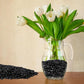 10 lbs Black Pebbles for Indoor Plants, 3/8" Small Rocks for Plants Indoor, Succulent, Bamboo, Vase, Decorative Black River Rocks Pea Gravel, Highly Polished