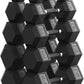 PAPABABE Hex Dumbbell Set 45-550 lb, Rubber Encased Home Gym Dumbbells, Weights Dumbbells for Women & Men, Hand Weight for Strength Training