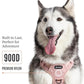 2025 New Edition, Fei & Eve MagEase Dog Harness - 3-Second Magnetic Buckles | 3-Point No-Pull Control | Heavy-Duty 900D Nylon | Dual Safety Handles | Breathable Mesh | Adjustable Fit | X-Large, Pink
