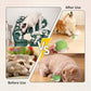 Chewie Viral Rolling Ball, Interactive Cat Toys Ball for Indoor, Cats Interactive Self Rolling Ball Dog Ball Automatic Cat Toy 360° Smart Automatic Rolling Pet Ball (Green)