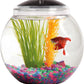 1-Gallon Globe Fish Tank with LED Lighting (7 Color Selections), Impact-Resistant Plastic