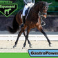 GastroPower Digestible Free Fatty Acid Feed Concentrate for Horses