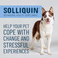 Nutramax Solliquin Calming Behavioral Health Supplement for Large Dogs - with L-Theanine, Magnolia/Phellodendron, and Whey Protein Concentrate, 75 Soft Chews